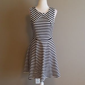 The Limited skater dress